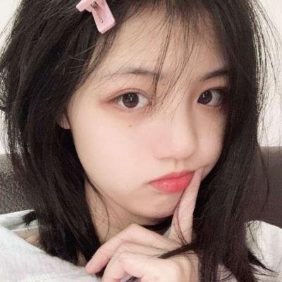 企鹅之岛:福克兰
